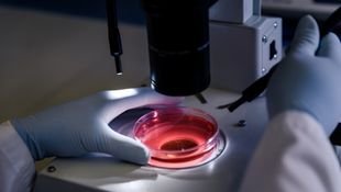 advanced ivf & icsi