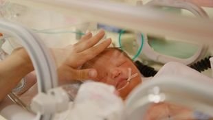 level 3 nicu